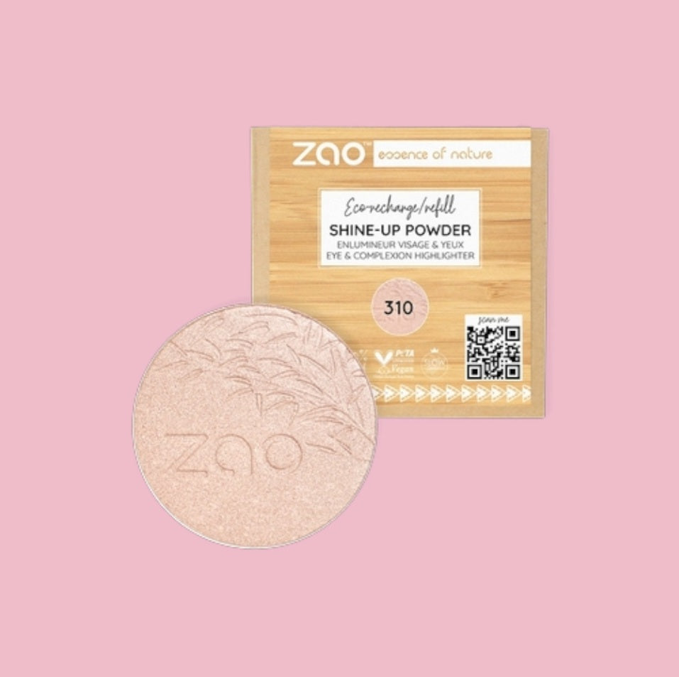 Shine-up powder ricarica