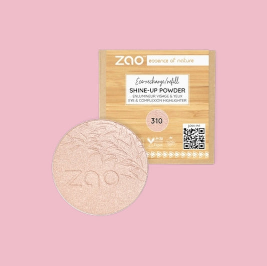 Shine-up powder ricarica