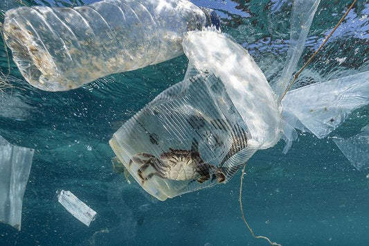 La plastica è un imballaggio sicuro?