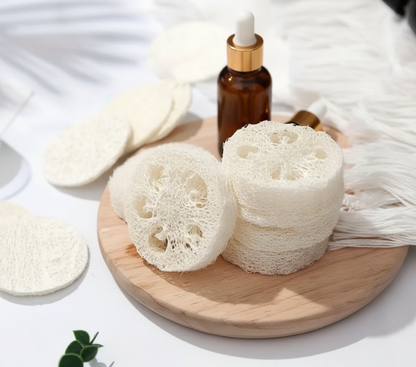 Luffa poggia solido 2pz